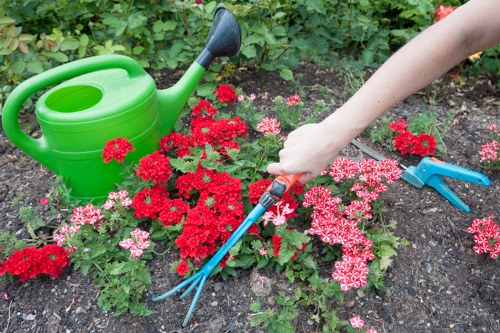 Illustration of Gardening Wimbledon logo and cookies concept