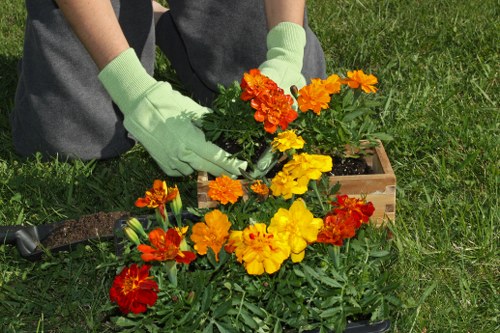 Gardener tending to a community plot in Wimbledon, focused on accessible garden paths.
